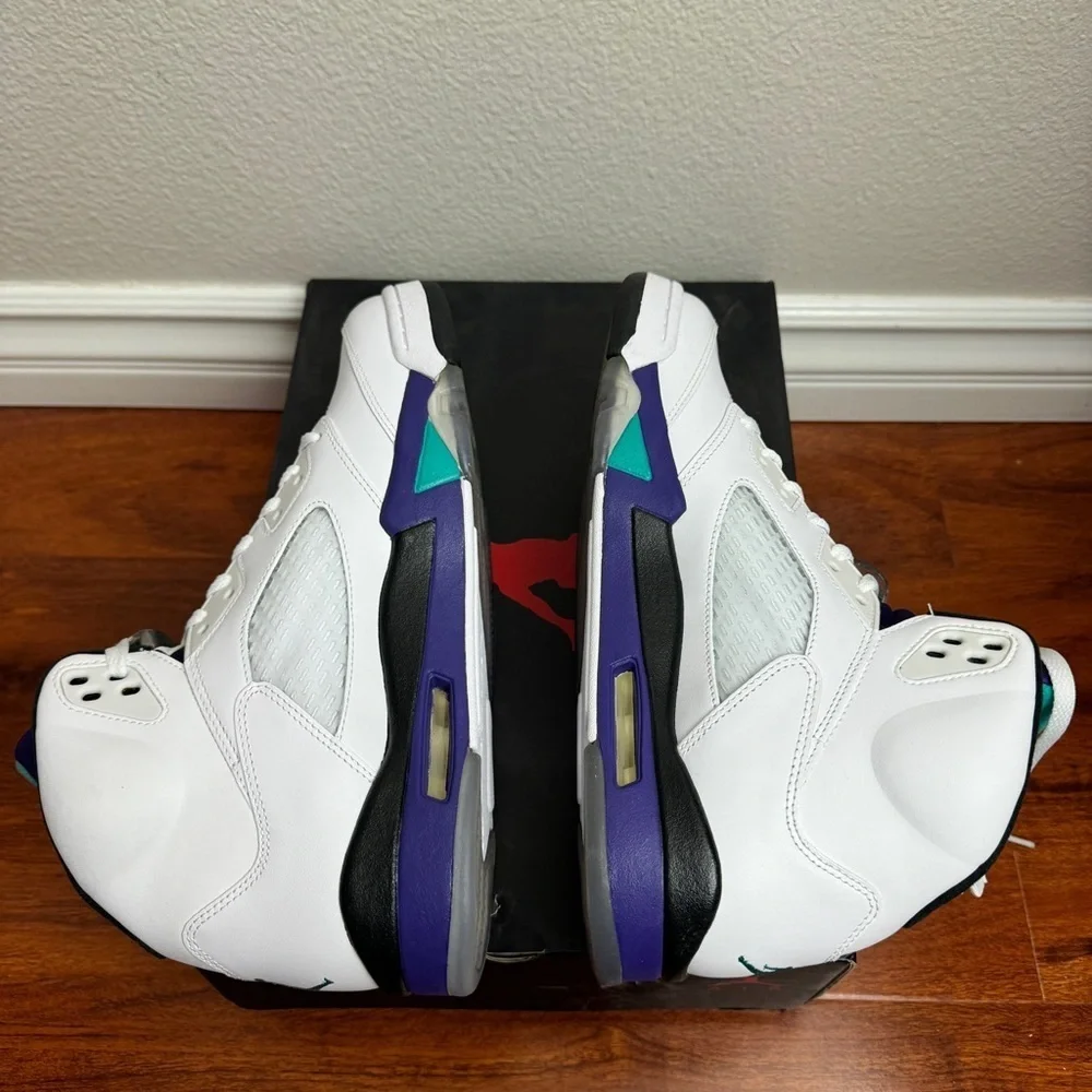 Jordan 5 Grape Retro 2013 Size 10.5